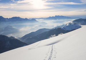 搬运威廉·福克纳的《沃许》