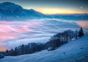 搬运威廉·福克纳的《沃许》